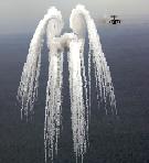 Uživatelský avatar