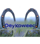 Uživatelský avatar