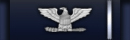Colonel